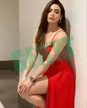 Panchkula Model Call Girls Provide High-Profile Services